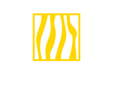 Jakarta Rugs & Carpets